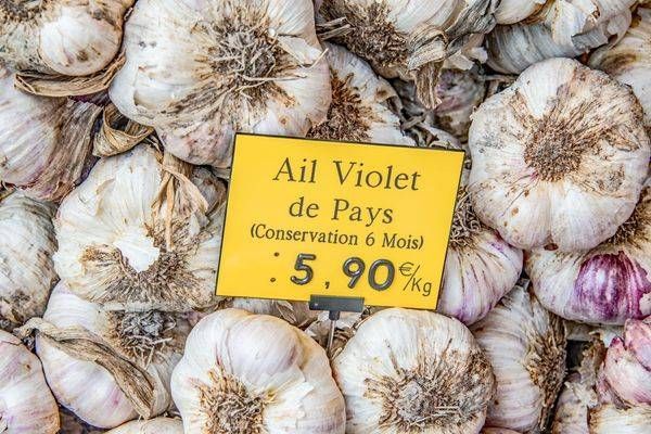Garlic From L'isle Sur La Sorgue Photography Art | Sonoma Fine Photography
