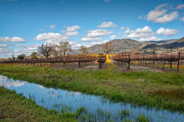 Golden Horizon Photography Art | Sonoma Fine Photography
