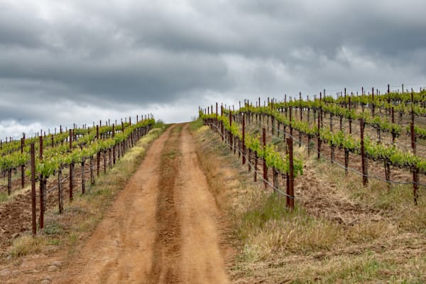 Dirt Road Photography Art | Sonoma Fine Photography