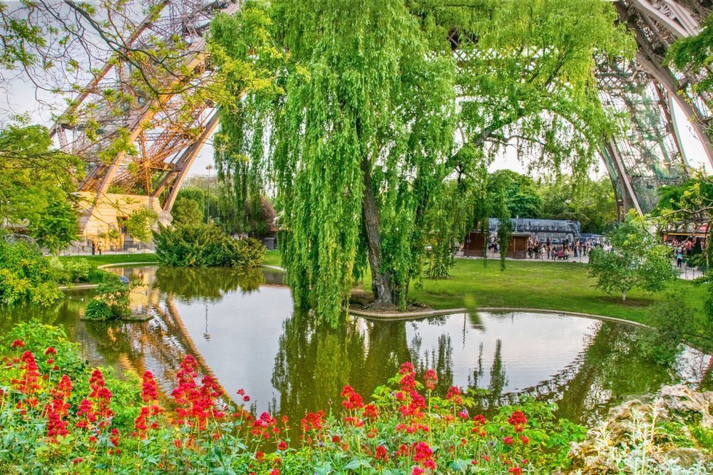 Eiffel Pond Photography Art | Sonoma Fine Photography