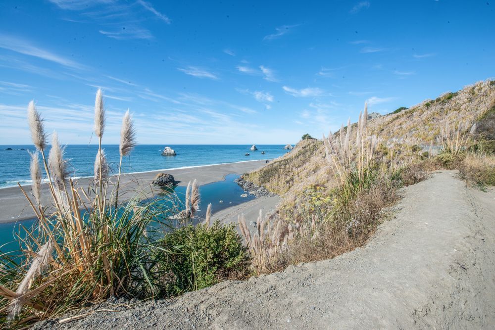 Jenner Shore Photography Art | Sonoma Fine Photography
