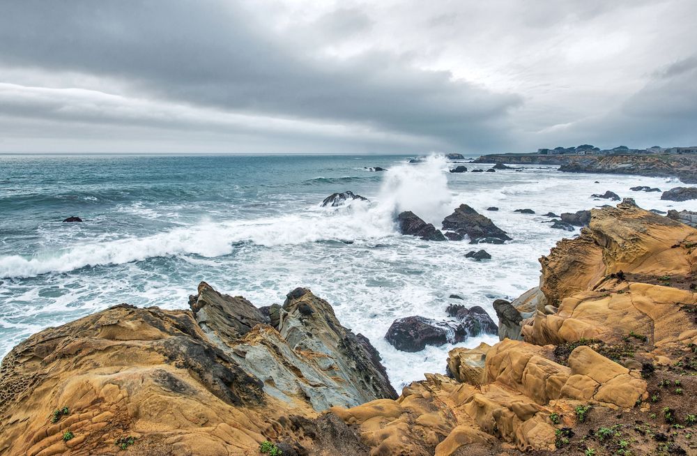Sonoma Coast