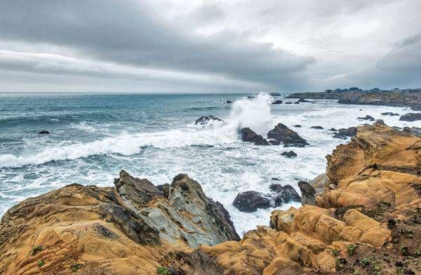 Sonoma Coast