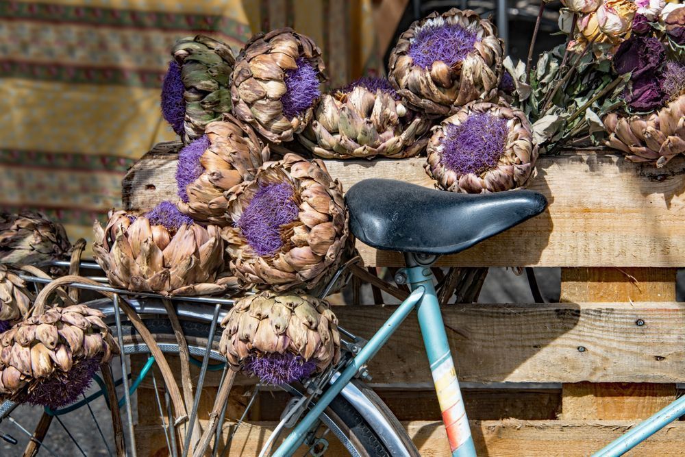 Bicycle & Artichokes Photography Art | Sonoma Fine Photography