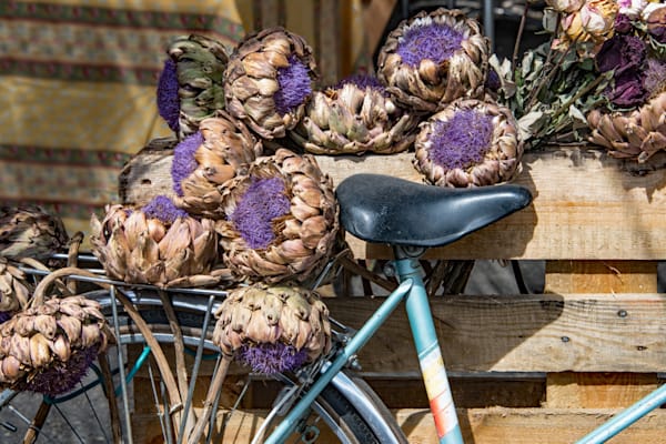Bicycle & Artichokes Photography Art | Sonoma Fine Photography