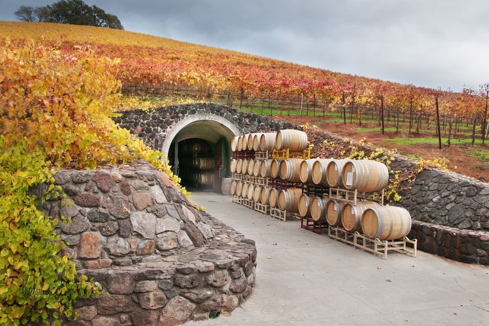 Autumn Wine Cave Photography Art | Sonoma Fine Photography