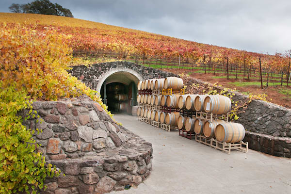 Autumn Wine Cave Photography Art | Sonoma Fine Photography