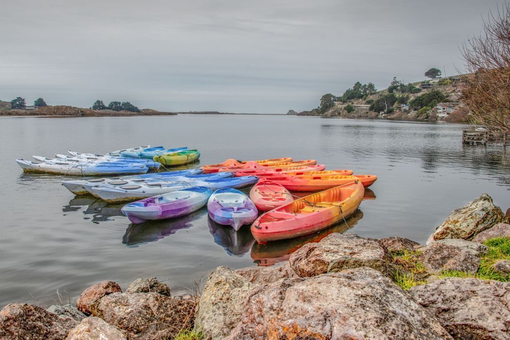Reflections Of Vibrant Tranquility Photography Art | Sonoma Fine Photography