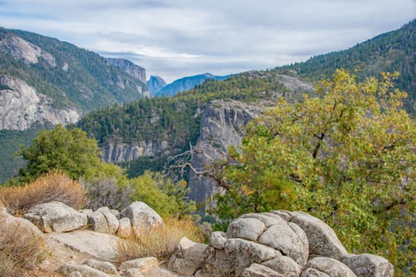 Silent Sentinels Of Stone Photography Art | Sonoma Fine Photography