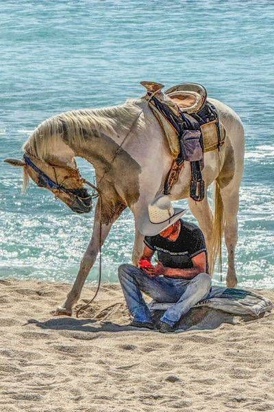 Horse Master 1 Photography Art | Sonoma Fine Photography