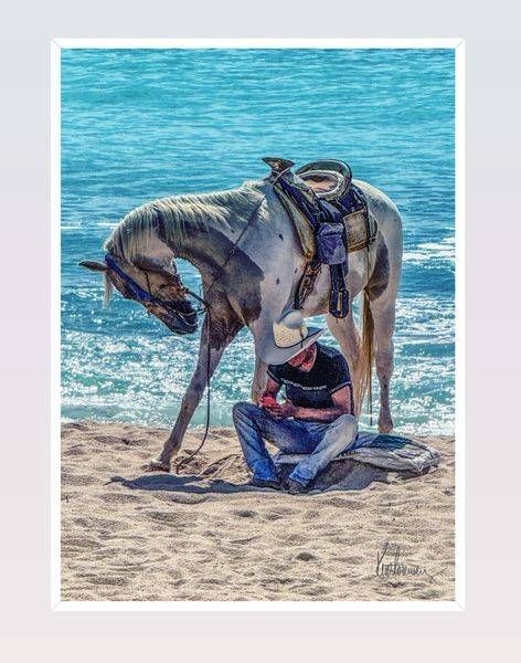 Horse & Master 4b.Jpg Photography Art | Sonoma Fine Photography