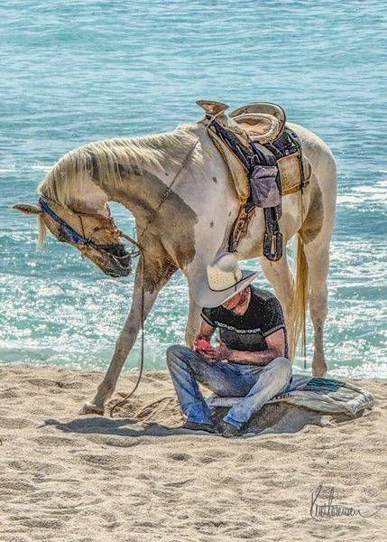 Horse 5.Jpg Photography Art | Sonoma Fine Photography