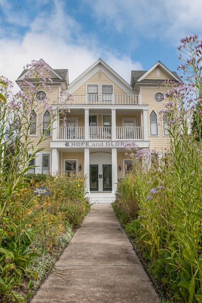 Victorian Whispers In Yellow Photography Art | Sonoma Fine Photography