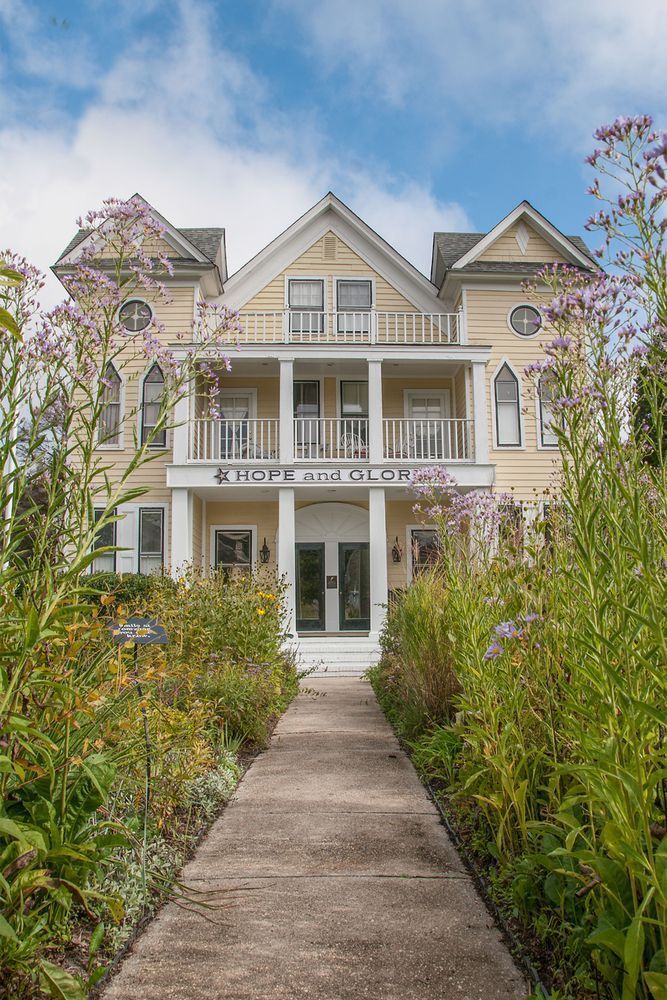 Victorian Whispers In Yellow Photography Art | Sonoma Fine Photography