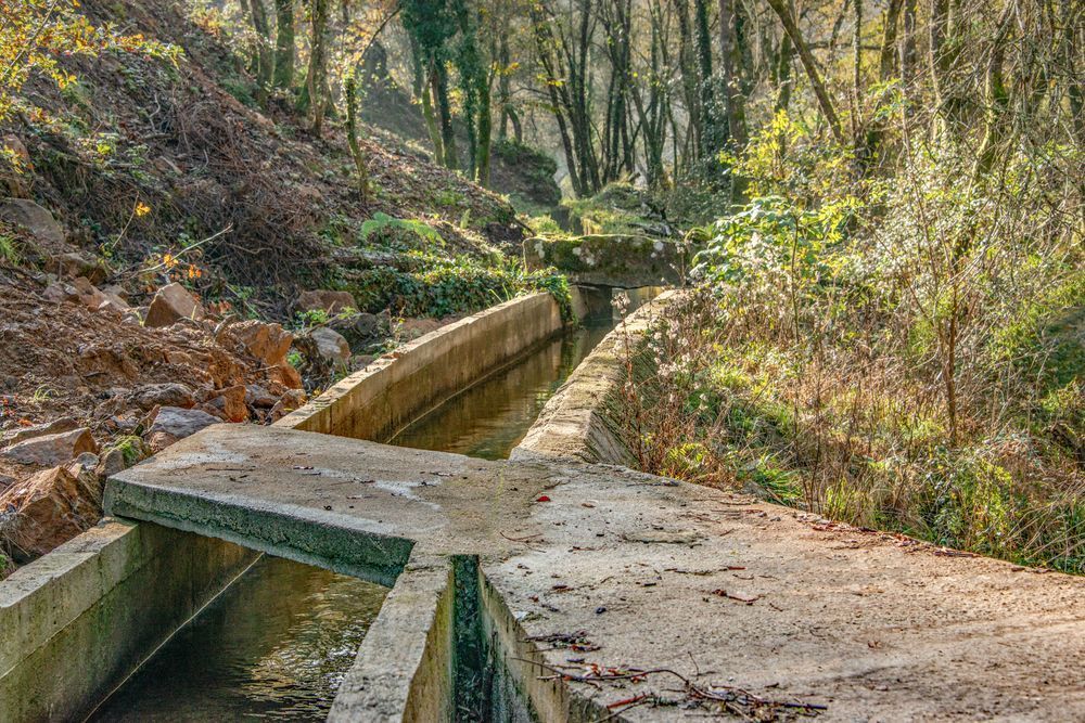 Irrigation Channel Photography Art | Sonoma Fine Photography