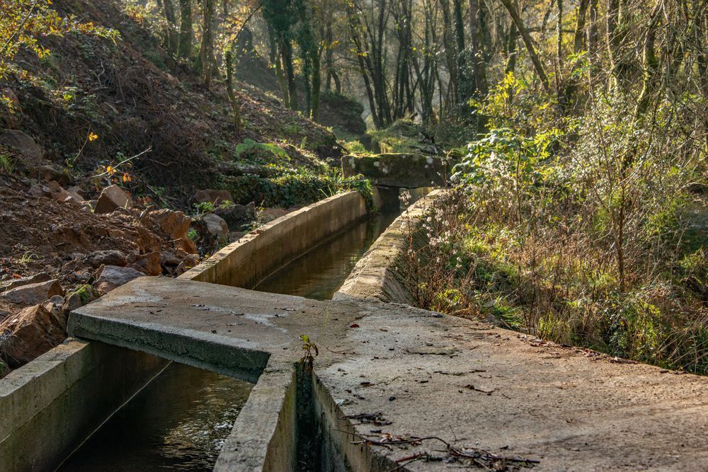 Irrigation Channel Photography Art | Sonoma Fine Photography