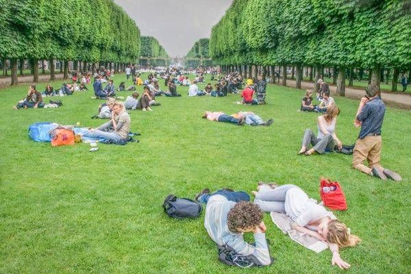 Sun Dappled Moments In Paris Photography Art | Sonoma Fine Photography