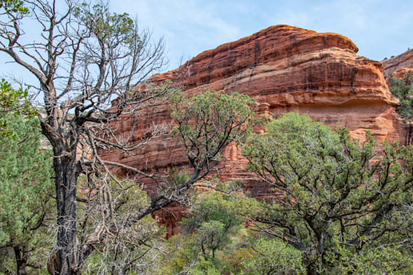 Sedona Locomotive Photography Art | Sonoma Fine Photography