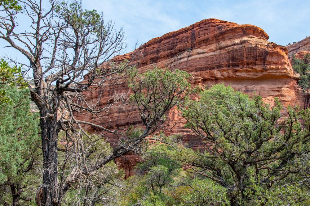 Sedona Locomotive Photography Art | Sonoma Fine Photography