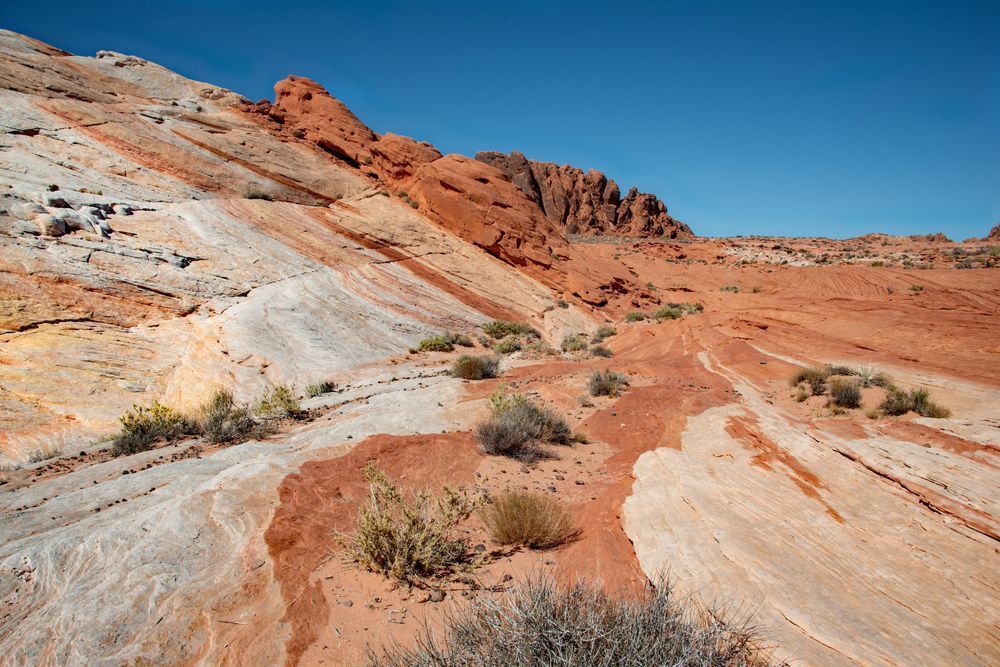 Nevada Desert Photography Art | Sonoma Fine Photography