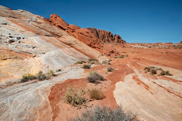 Nevada Desert Photography Art | Sonoma Fine Photography