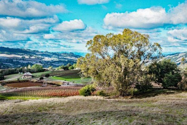 Mt Sonoma Mar 2025 30 X20 Photography Art | Sonoma Fine Photography