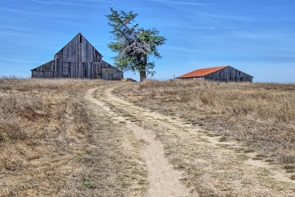 Mendocino Barn Photography Art | Sonoma Fine Photography