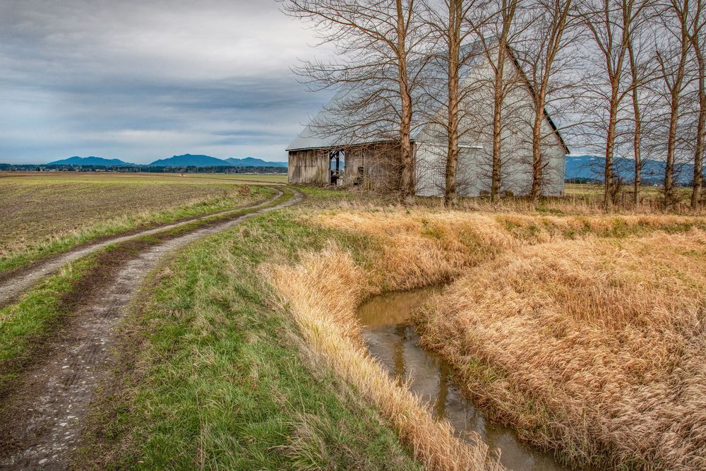 Barnside Serenity On Mc Lean Road Photography Art | Sonoma Fine Photography