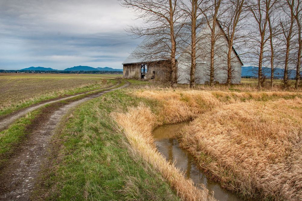 Mc Lean Road Barn Photography Art | Sonoma Fine Photography