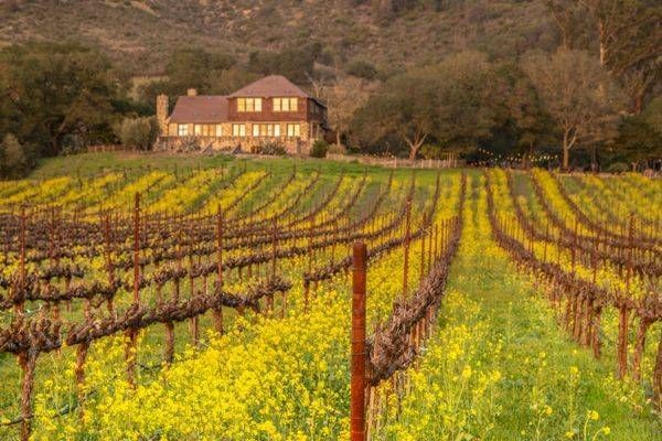 Mary S House 2025 1 Photography Art | Sonoma Fine Photography