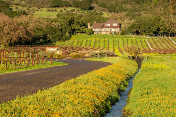 Mary S House 2 Photography Art | Sonoma Fine Photography