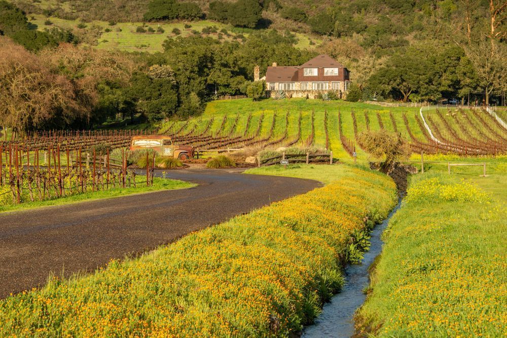 Mary S House 2 Photography Art | Sonoma Fine Photography