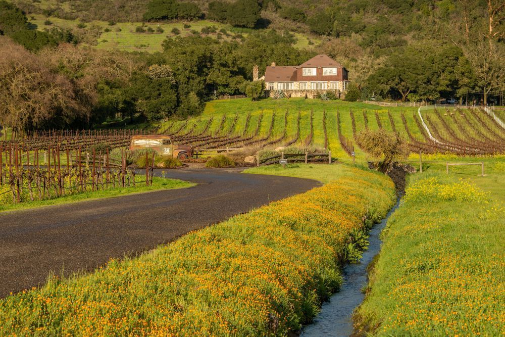 Mary S House 1 Photography Art | Sonoma Fine Photography