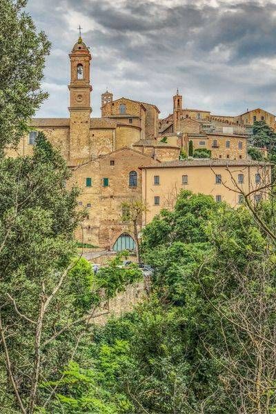 Montepuciano Mar 2025 Photography Art | Sonoma Fine Photography
