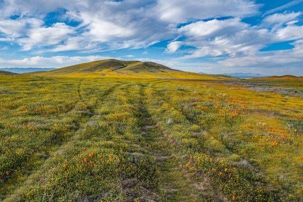 Ruts Asf Photography Art | Sonoma Fine Photography