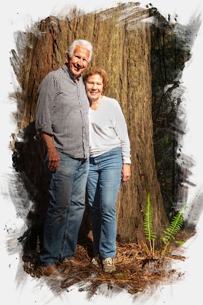 Redwood Tree Photography Art | Sonoma Fine Photography