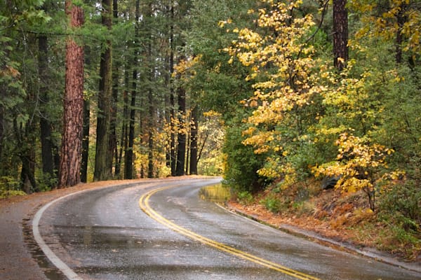 Reflections At The Bend Of The Road Photography Art | Sonoma Fine Photography