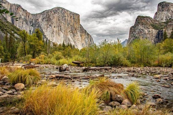 Winter At El Capitan Photography Art | Sonoma Fine Photography