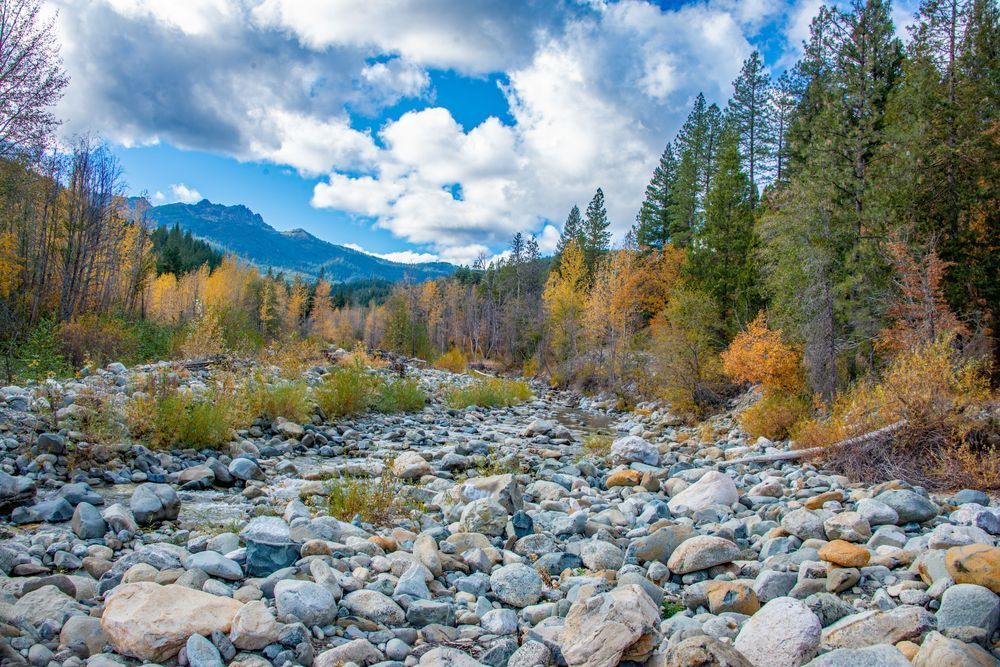 The River’s Amber Embrace Photography Art | Sonoma Fine Photography