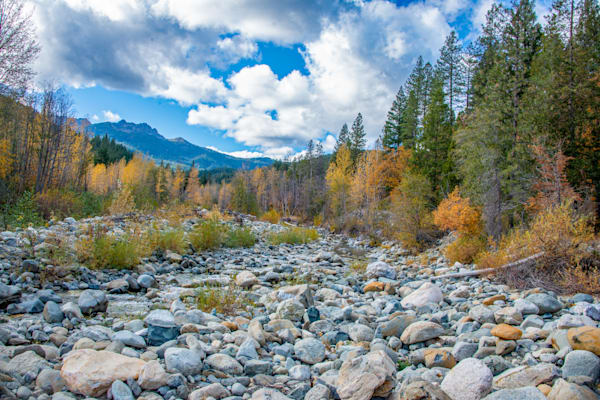 The River’s Amber Embrace Photography Art | Sonoma Fine Photography