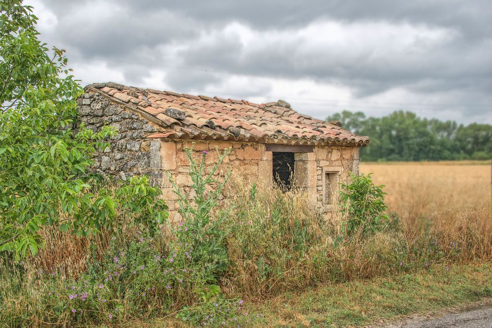 Abandoned Haven In The Field Photography Art | Sonoma Fine Photography