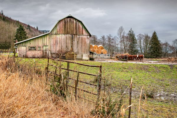 Sedro Woolley Farm Photography Art | Sonoma Fine Photography
