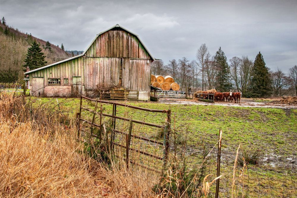 Sedro Woolley Farm Photography Art | Sonoma Fine Photography