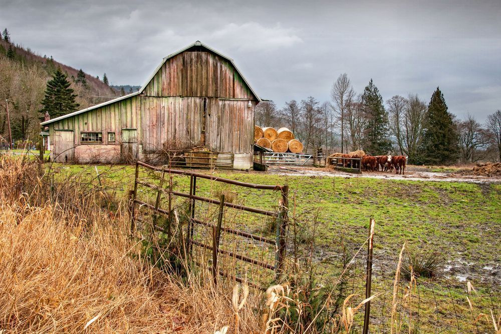 Sedro Woolley Barn Photography Art | Sonoma Fine Photography