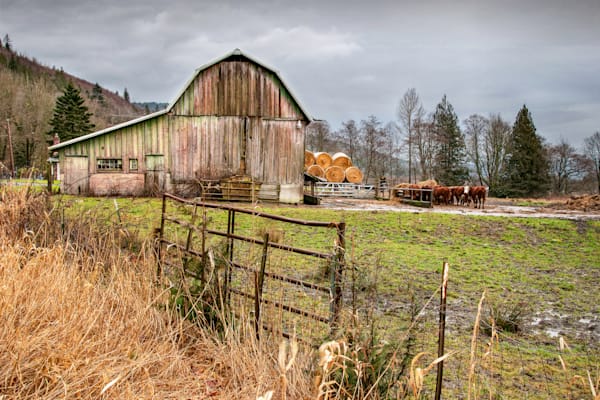 Sedro Woolley Barn Photography Art | Sonoma Fine Photography