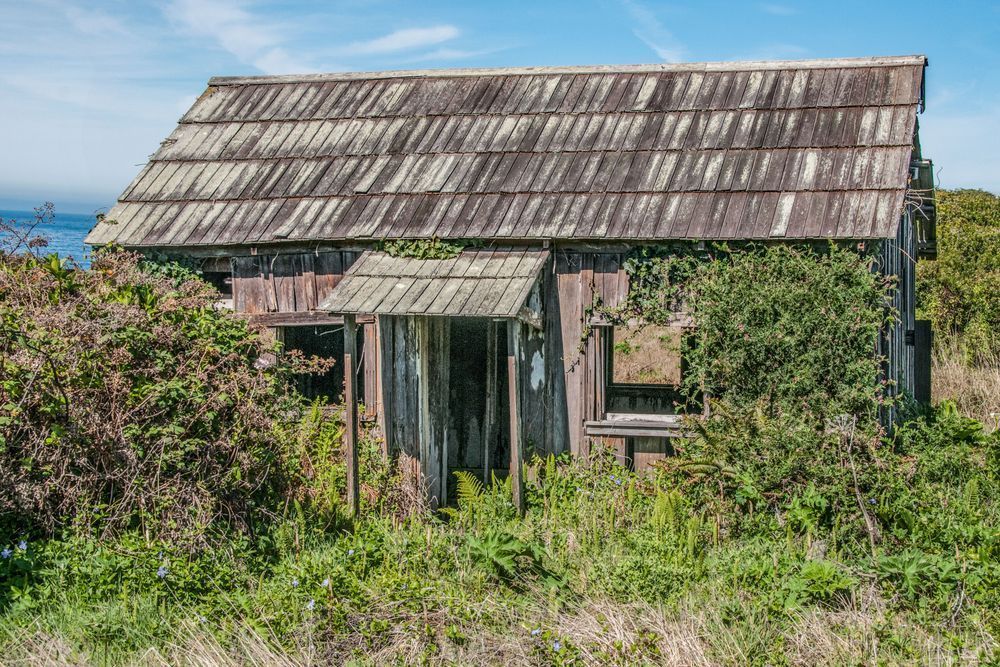 Sea Ranch Special Photography Art | Sonoma Fine Photography