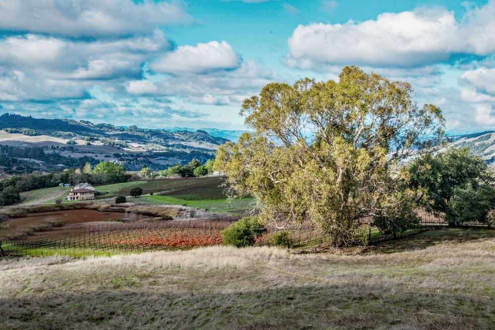 Mt. Sonoma Photography Art | Sonoma Fine Photography