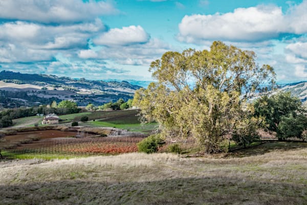 Mt. Sonoma Photography Art | Sonoma Fine Photography