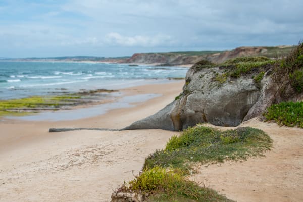 The Smiling Elephant Photography Art | Sonoma Fine Photography
