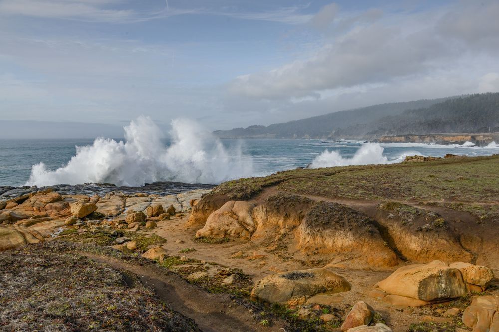 Stump Beach Photography Art | Sonoma Fine Photography